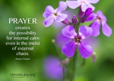 "Prayer creates the possibility for internal calm even in the midst of external chaos." (Shauna Niequist)