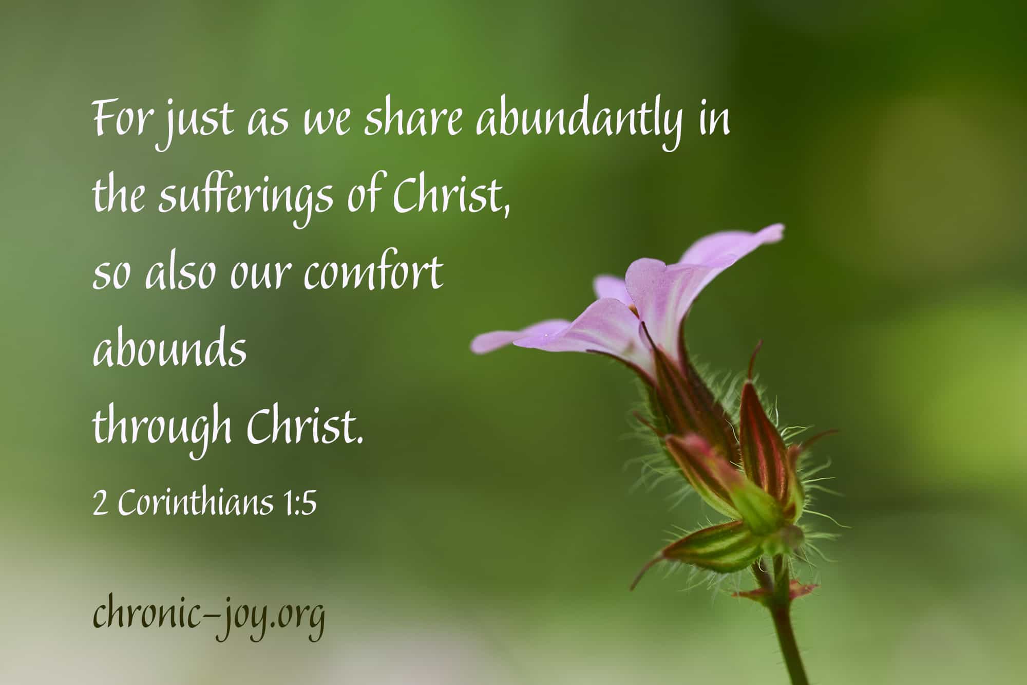 Sharing Christ's Comfort