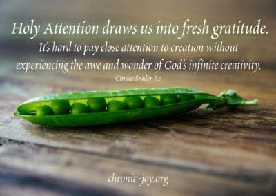 Holy Attention draws us into fresh gratitude. It’s hard to pay close attention to creation without experiencing the awe and wonder of God’s infinite creativity.