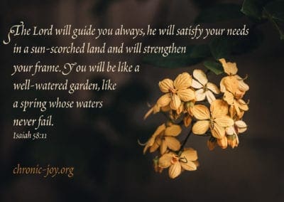 “The Lord will guide you always, he will satisfy your needs in a sun-scorched land and will strengthen your frame. You will be like a well-watered garden, like a spring whose waters never fail” Isaiah 58:11
