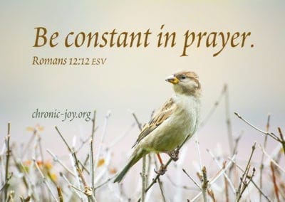 Be constant in prayer. Romans 12:12 ESV