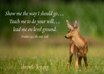 Show me the way I should go... Teach me to do your will... lead me on level ground. (Psalm 143:8, 10)