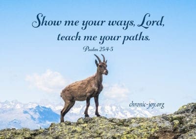 “Show me your ways, Lord, teach me your paths.” (Psalm 25:4-5)