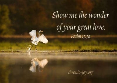 “Show me the wonder of your great love.” (Psalm 17:7a)