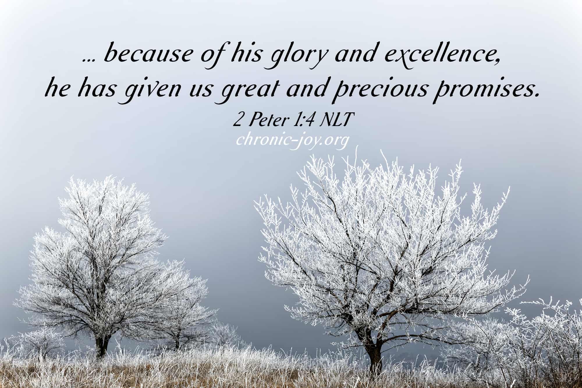 "... because of his glory and excellence, he has given us great and precious promises." 2 Peter 1:4 NLT