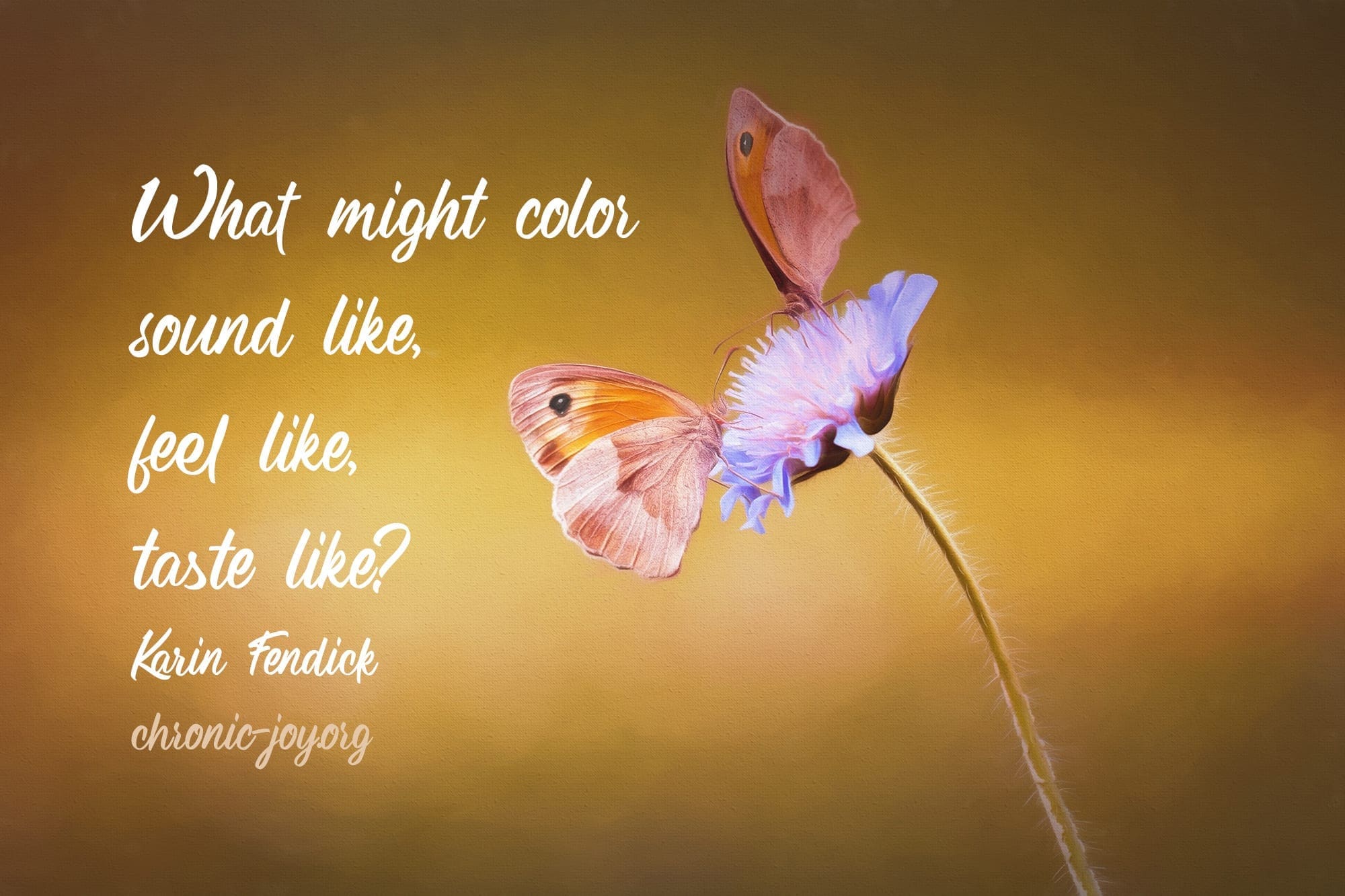 "What might color sound like, feel like, taste like?" Karin Fendick