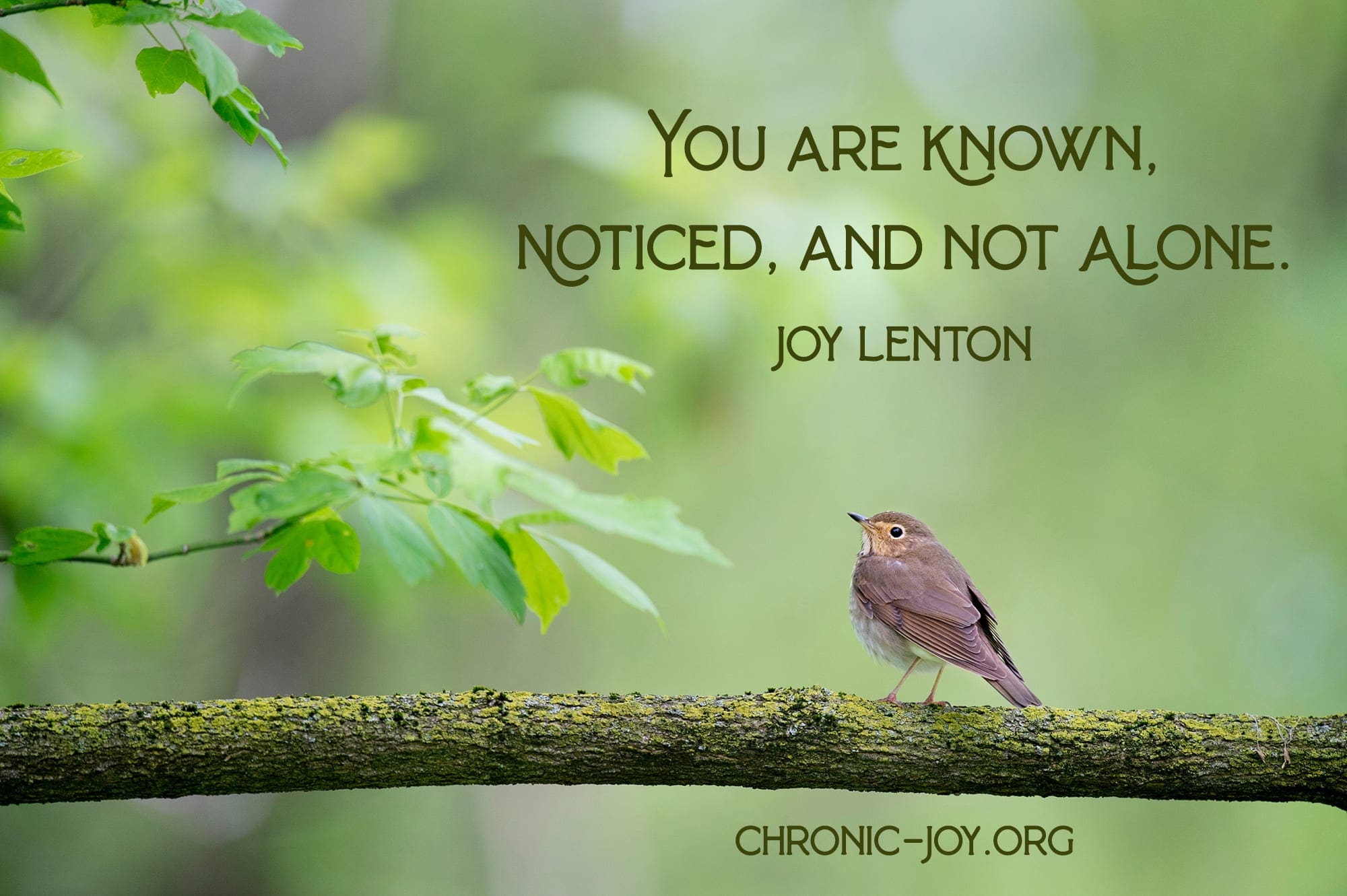 You are known, noticed, and not alone. Joy Lenton