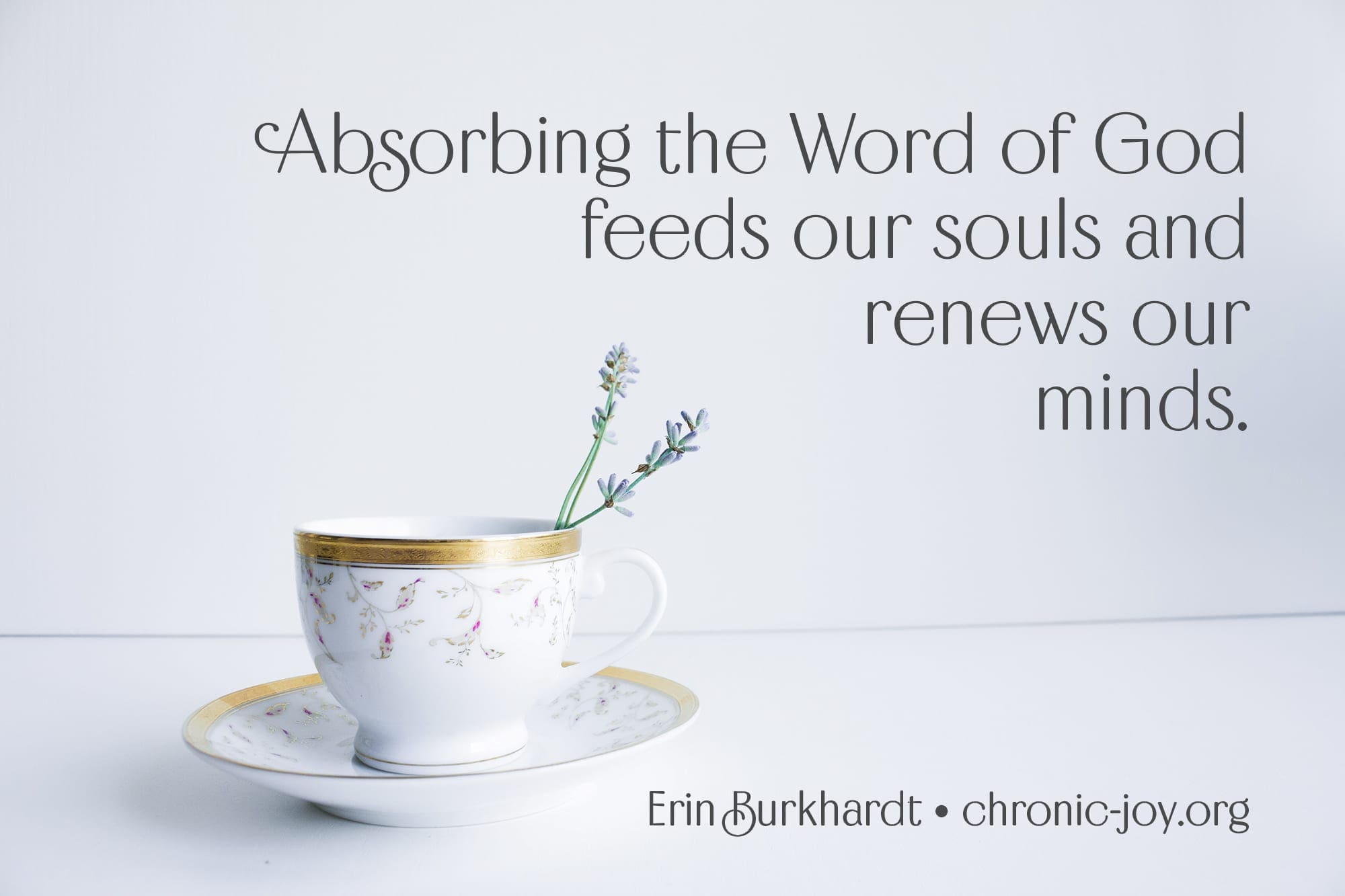 "Absorbing the Word of God feeds our souls and renews our minds." Erin Burkhardt