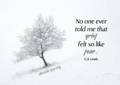 "No one ever told me that grief felt so like fear." (C.S. Lewis)