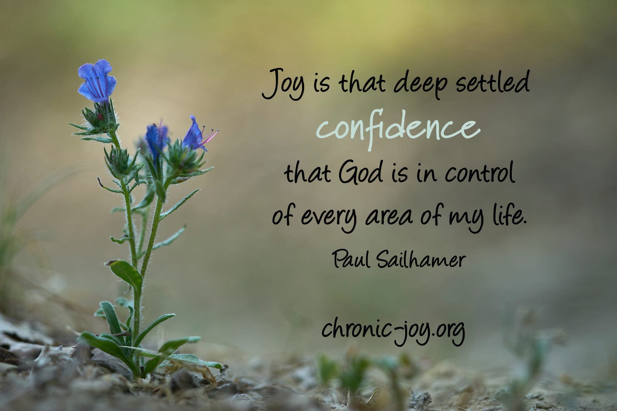 "Joy is that deep seated confidence that God is in control of every area of my life." Paul Sailhamer