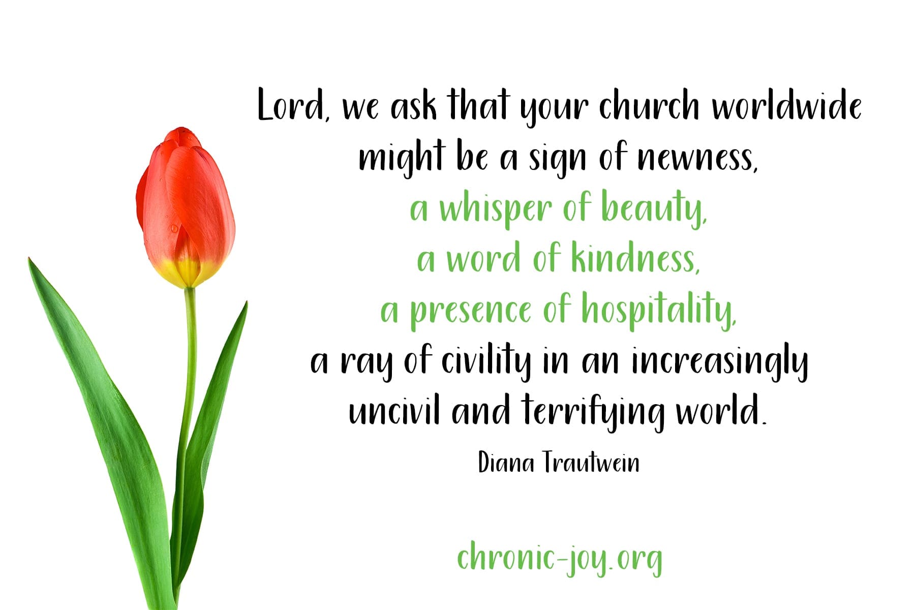"Lord, we ask that your church worldwide might be a sign of newness, a whisper of beauty, a word of kindness, a presence of hospitality, a ray of civility in an increasingly uncivil and terrifying world." Diana Trautwein