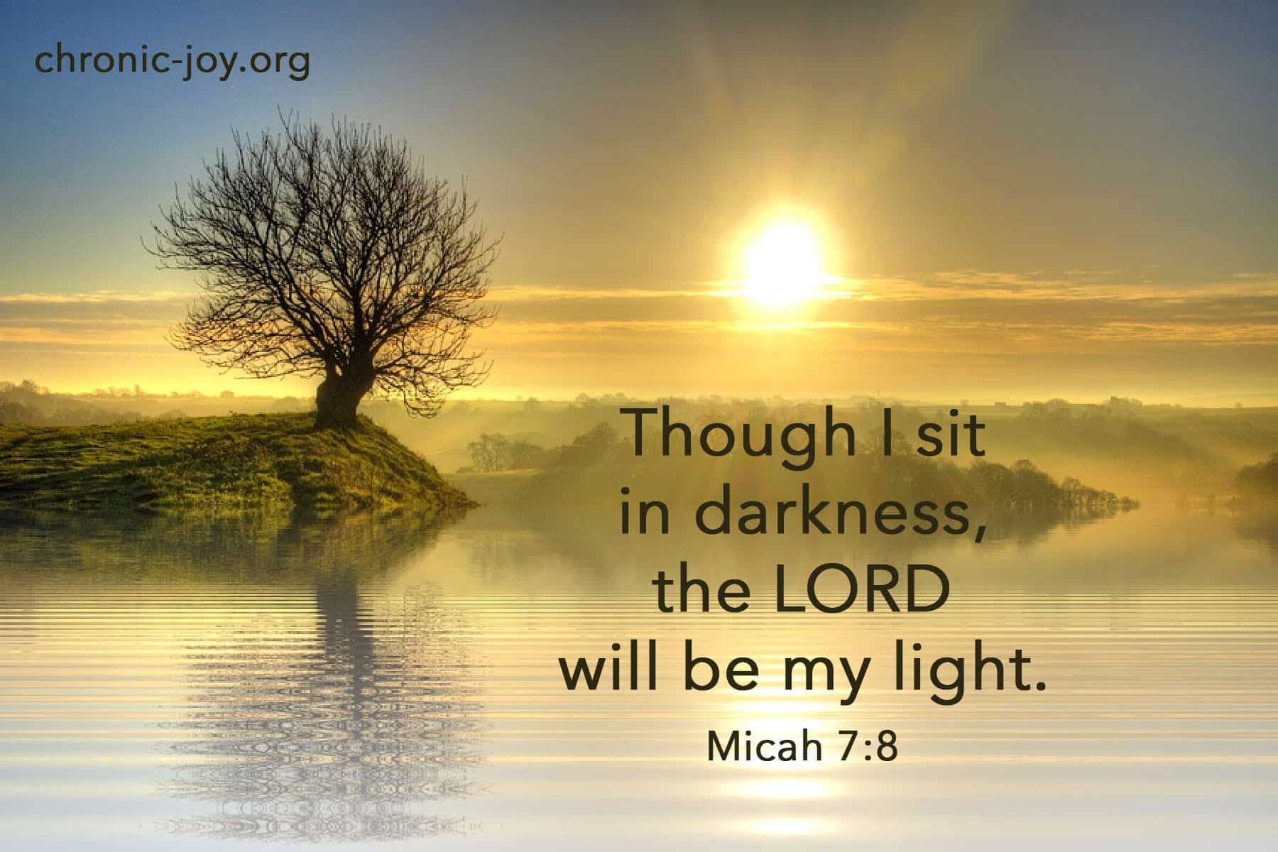 Though I sit in darkness, the Lord is my light. Micah 7:8