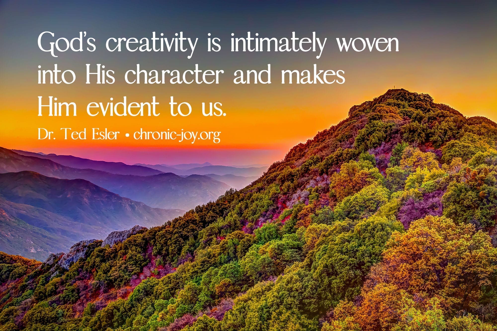 "God’s creativity is intimately woven into His character and makes Him evident to us." Dr. Ted Esler