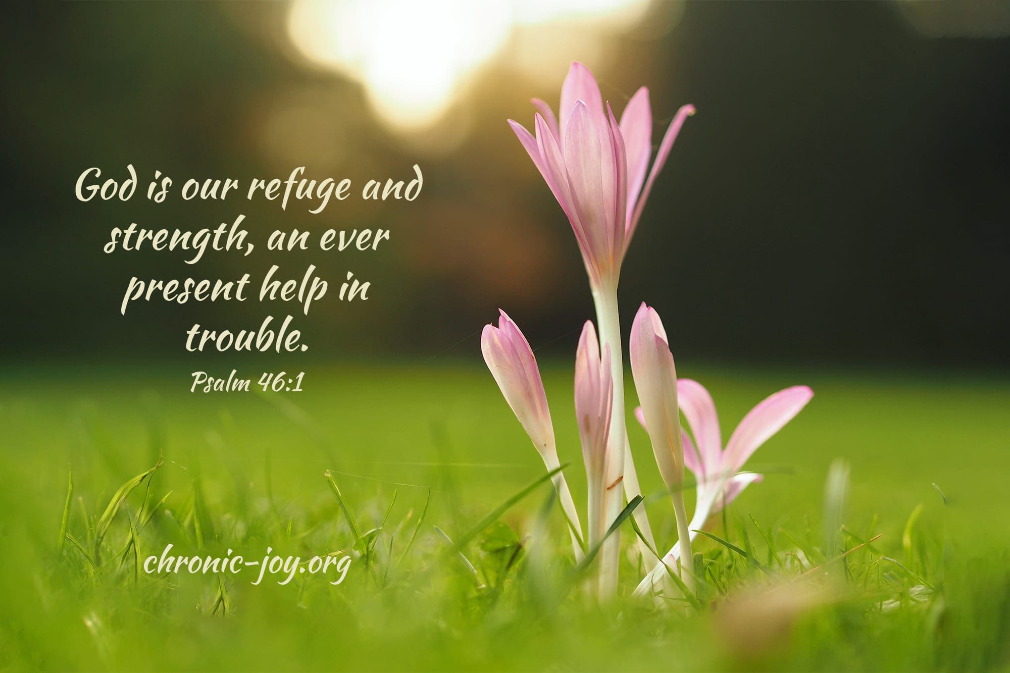 God is our refuge and strength, an ever present help in trouble.  Psalm 46:1