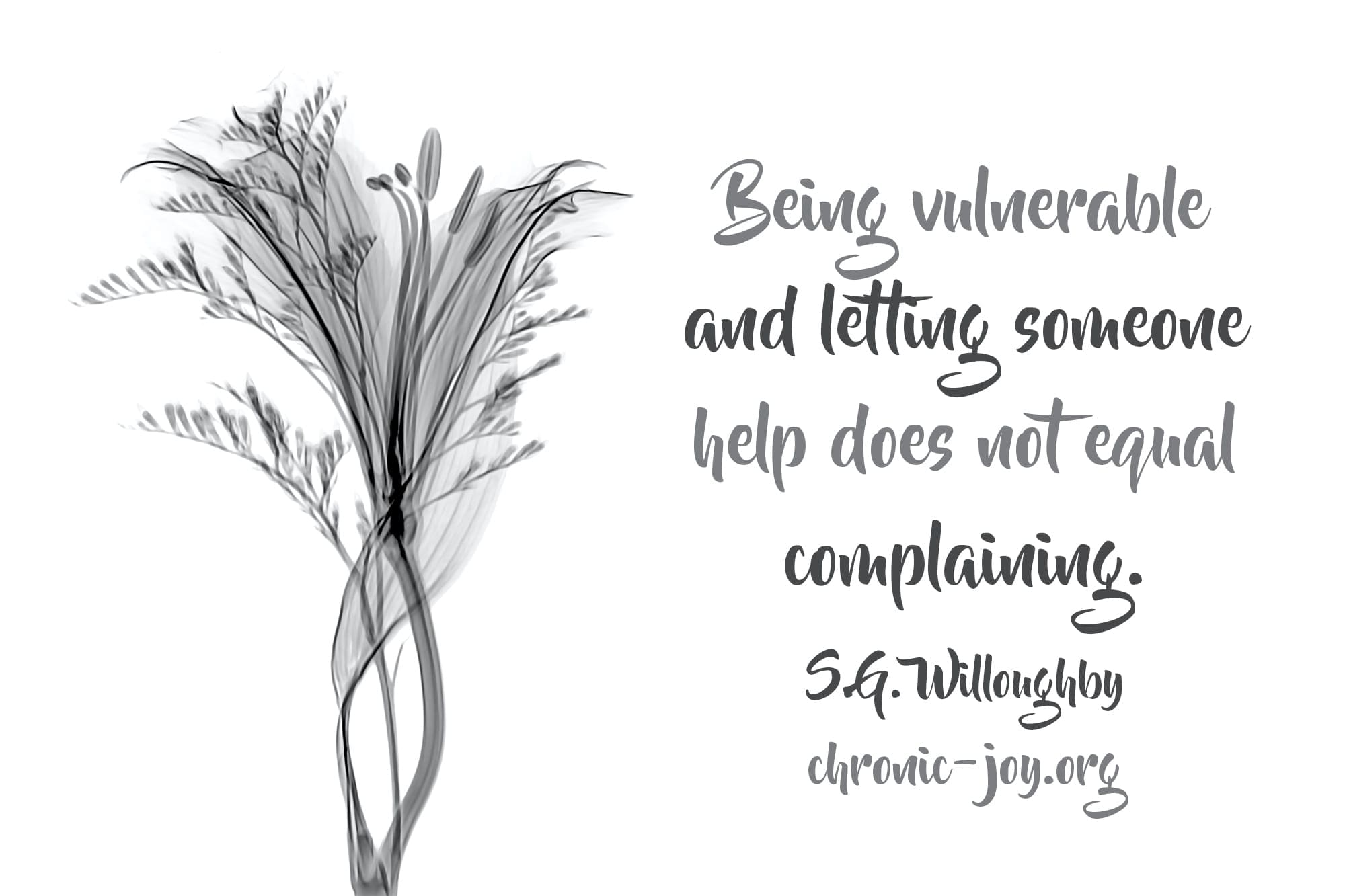 "Being vulnerable and letting someone help does not equal complaining." S.G. Willoughby