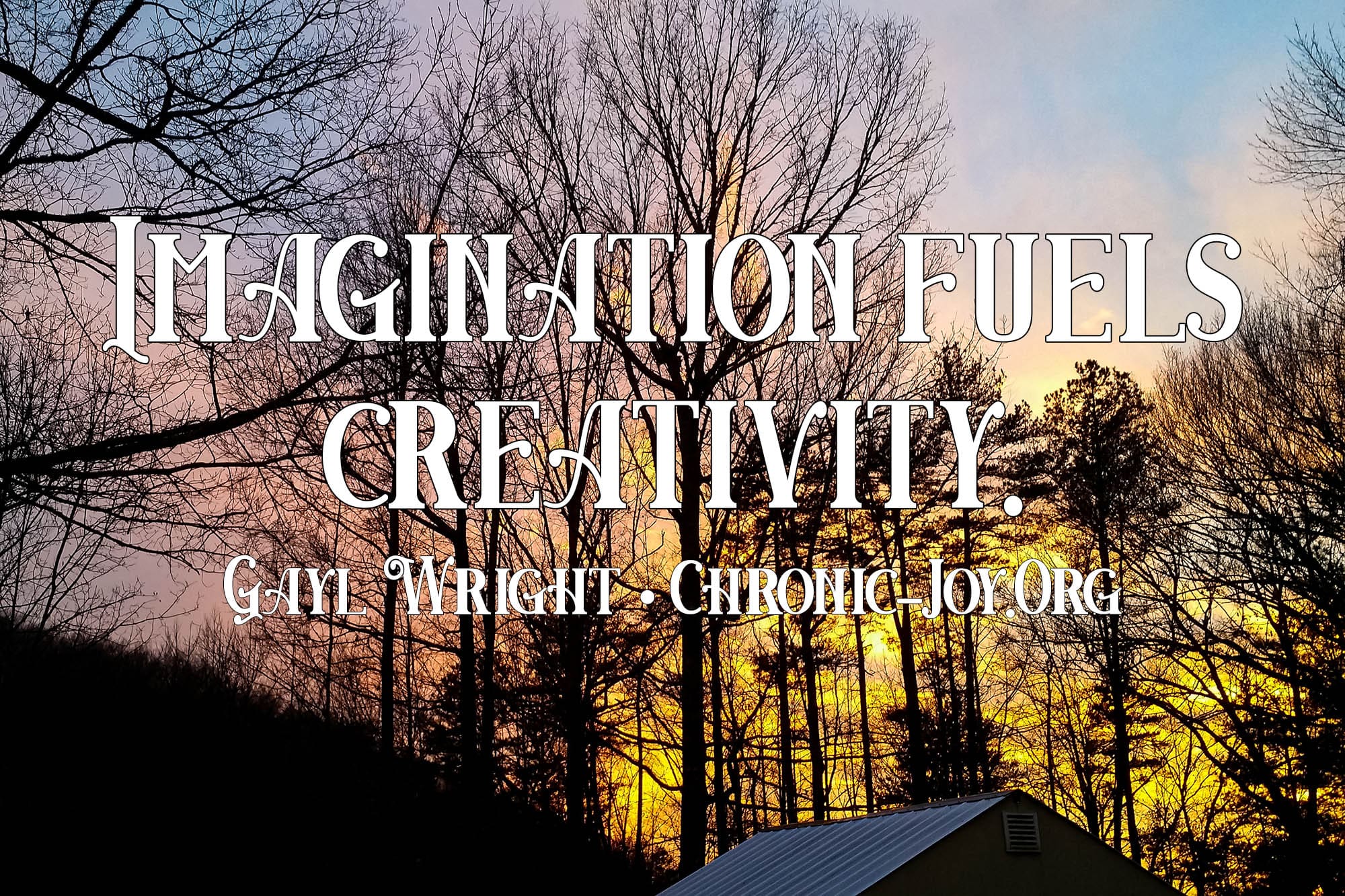"Imagination fuels creativity." Gayl Wright