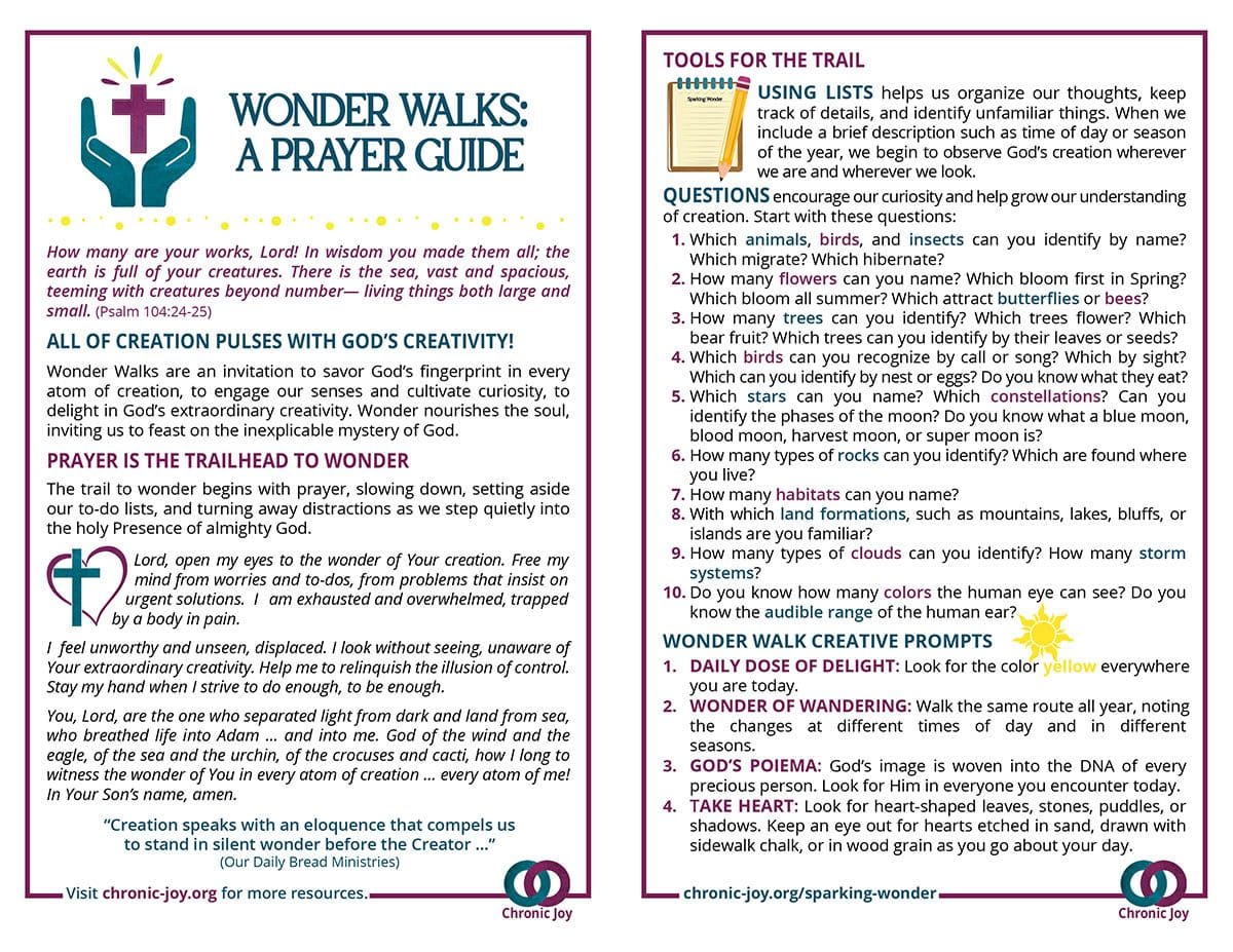 Wonder Walks • A Prayer Guide