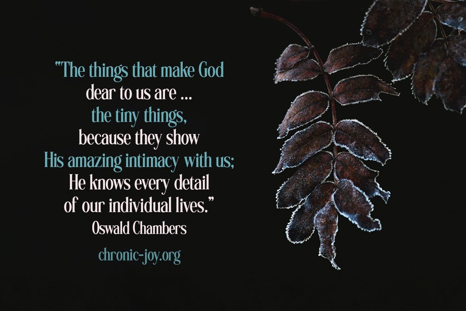 “The things that make God dear to us are not so much His great big blessings as the tiny things, because they show His amazing intimacy with us; He knows every detail of our individual lives.”