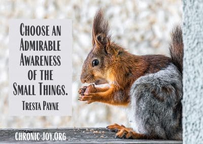 "Choose an admirable awareness of the small things." Tresta Payne