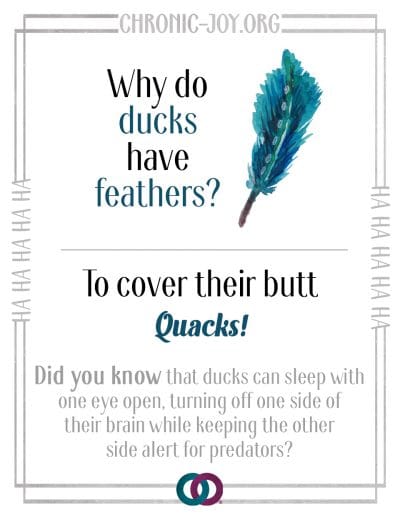 Why do ducks have feathers? To cover their butt quacks!