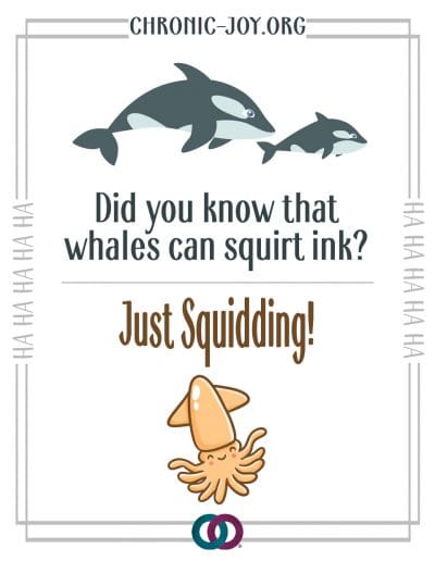 Did you know that whales can squirt ink? Just Squidding!