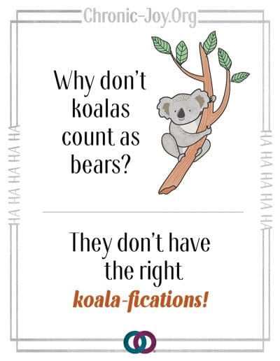 Why don't koalas count as bears? They don't have the right koala-fication.