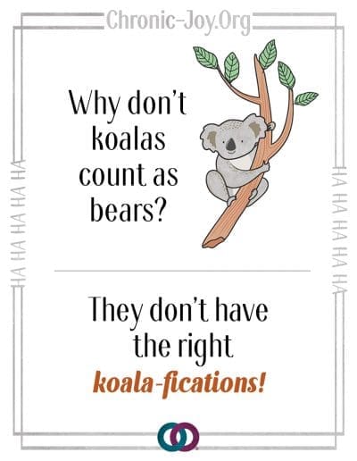 Why don't koalas count as bears? They don't have the right koala-fication.