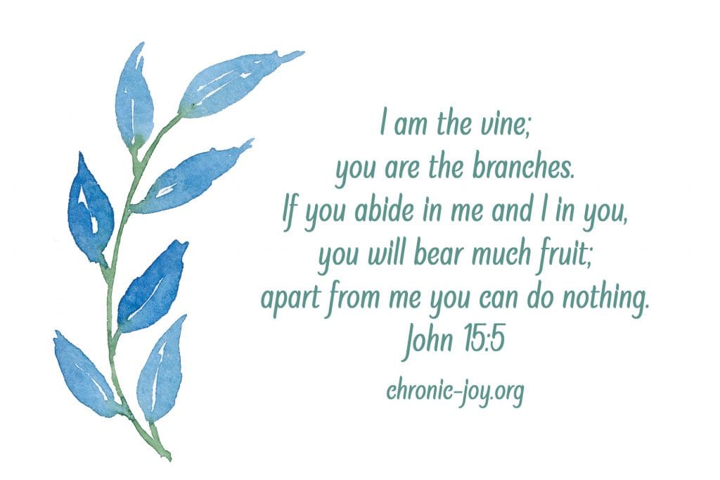 "I am the vine; you are the branches. If you abide in me and I in you, you will bear much fruit; apart from me you can do nothing.” John 15:5