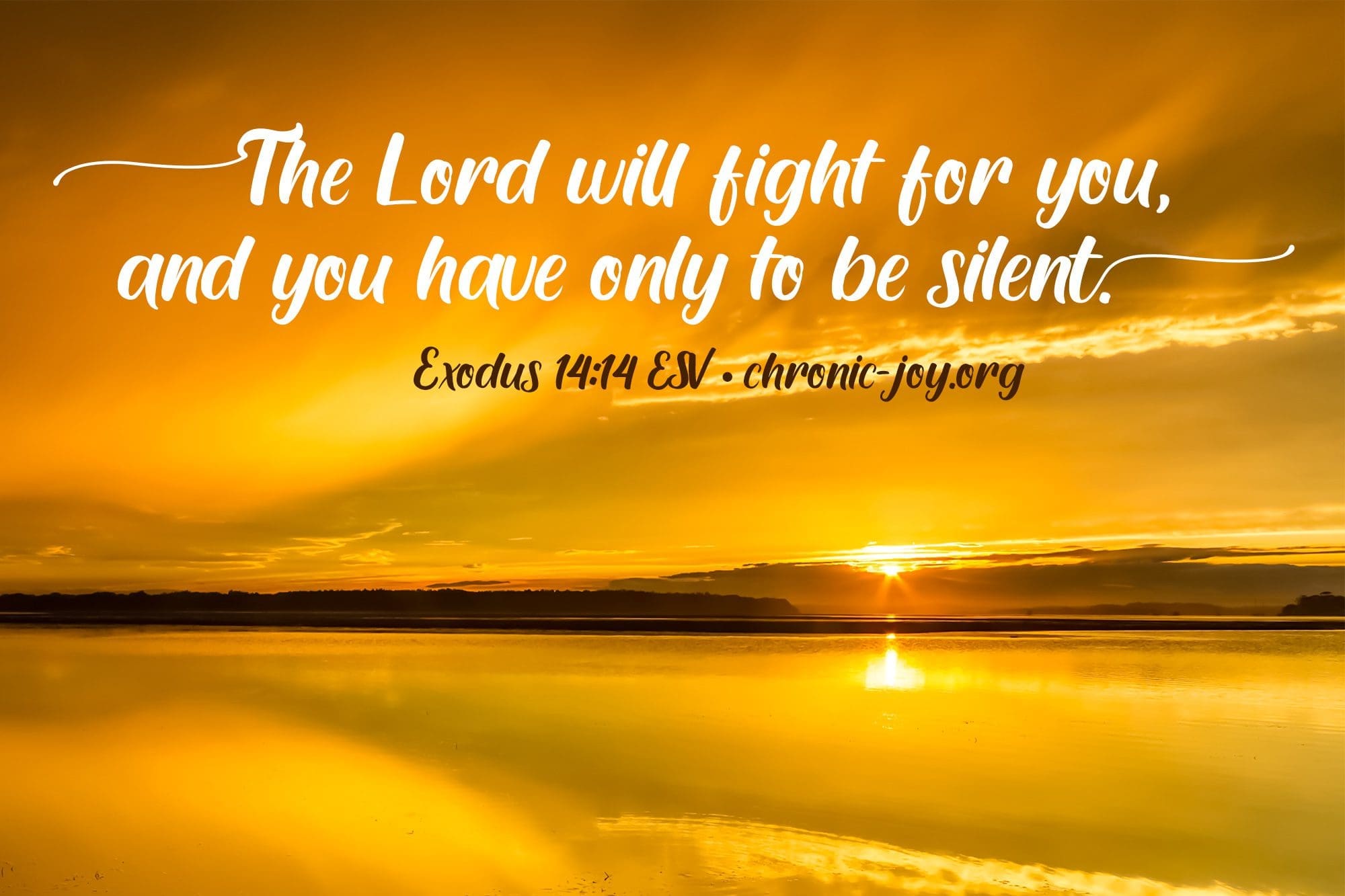 "The Lord will fight for you, and you have only to be silent." Exodus 14:14 ESV