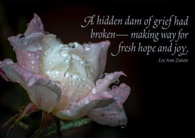 "A hidden dam of grief had broken— making way for fresh hope and joy." (Lee Ann Zanon)