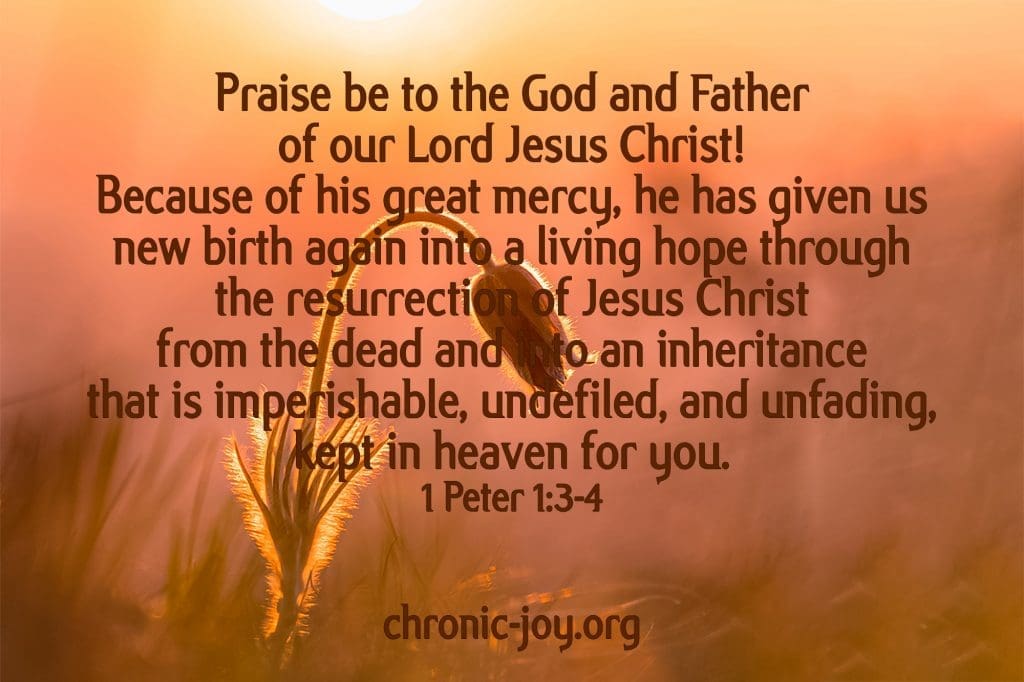 "Praise be to the God and Father of our Lord Jesus Christ! Because of his great mercy, he has given us new birth again into a living hope through the resurrection of Jesus Christ from the dead and into an inheritance that is imperishable, undefiled, and unfading, kept in heaven for you." 1 Peter 1:3-4