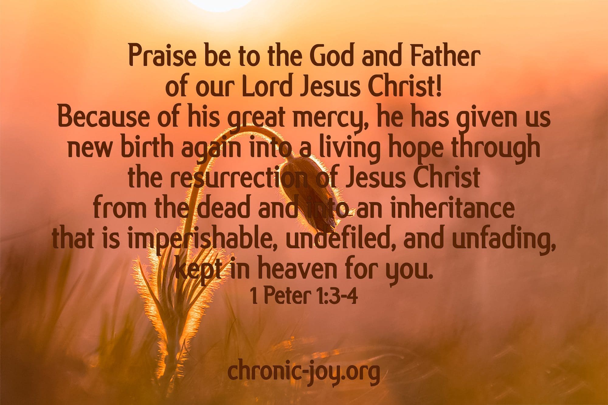 "Praise be to the God and Father of our Lord Jesus Christ! Because of his great mercy, he has given us new birth again into a living hope through the resurrection of Jesus Christ from the dead and into an inheritance that is imperishable, undefiled, and unfading, kept in heaven for you." 1 Peter 1:3-4