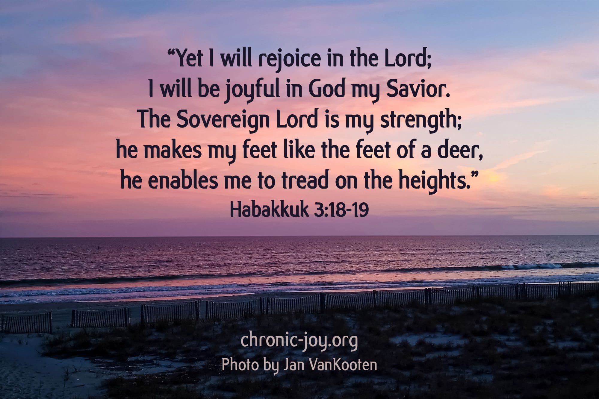 “Yet I will rejoice in the Lord; I will be joyful in God my Savior. The Sovereign Lord is my strength; he makes my feet like the feet of a deer, he enables me to tread on the heights.” Habakkuk 3:18-19