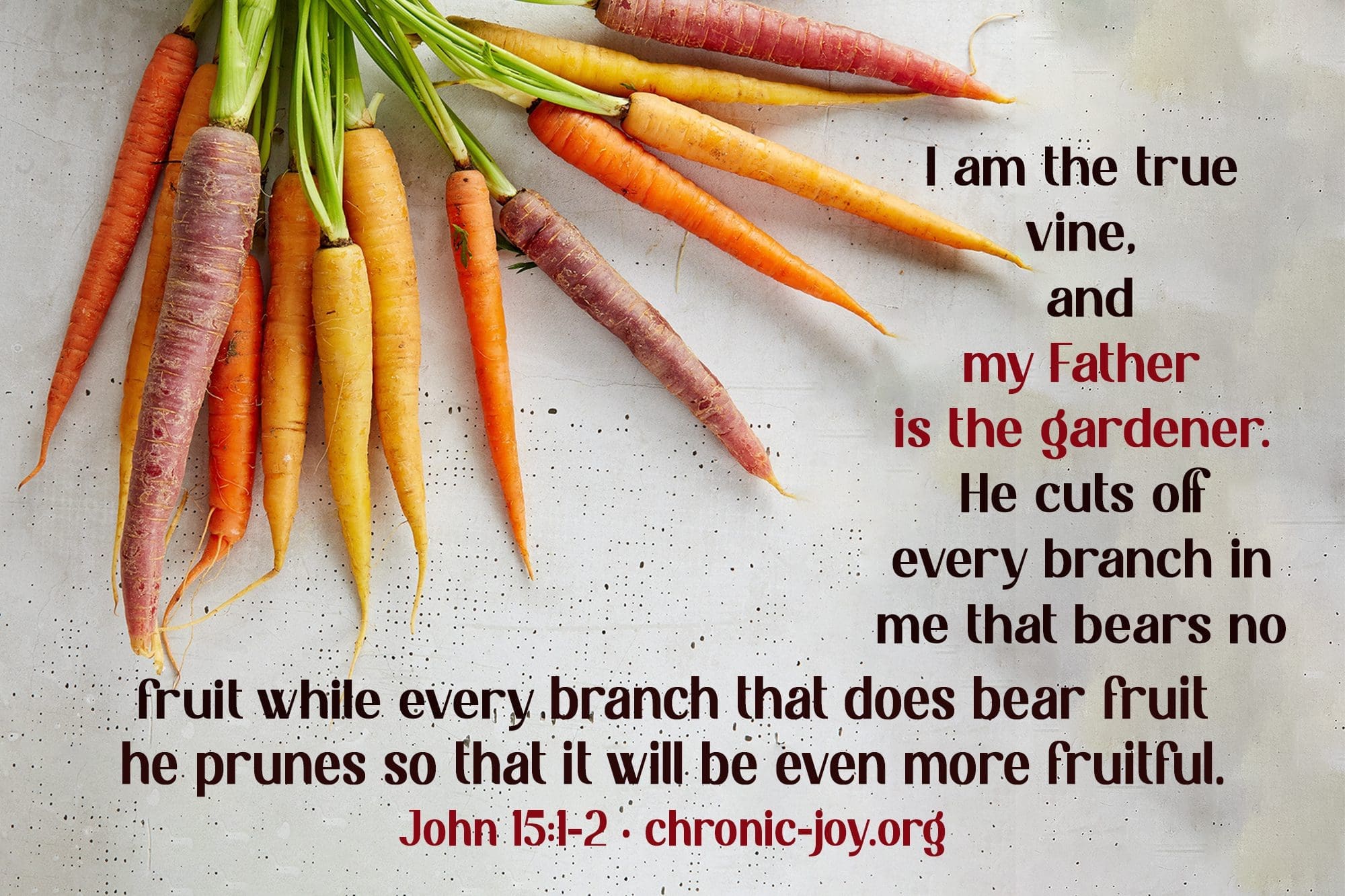 "I am the true vine, and my Father is the gardener. He cuts off every branch in me that bears no fruit, while every branch that does bear fruit he prunes so that it will be even more fruitful." John 15:1-2
