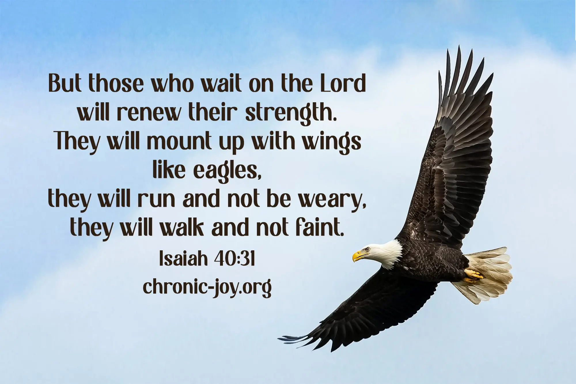 "But those who wait on the Lord will renew their strength. They will mount up with wings like eagles, they will run and not be weary, they will walk and not faint." Isaiah 40:31