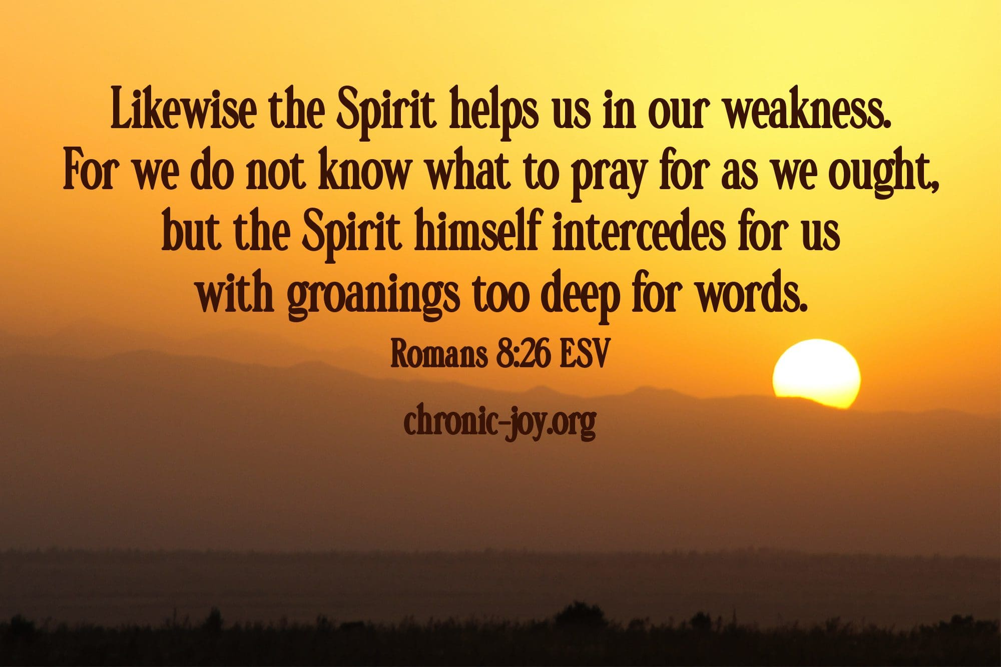 "Likewise the Spirit helps us in our weakness. For we do not know what to pray for as we ought, but the Spirit himself intercedes for us with groanings too deep for words." Romans 8:26 ESV