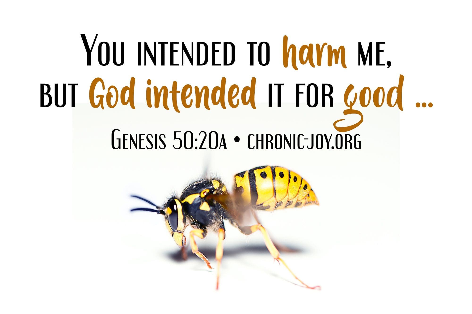 "You intended to harm me, but God intended it for good..." Genesis 50:20a