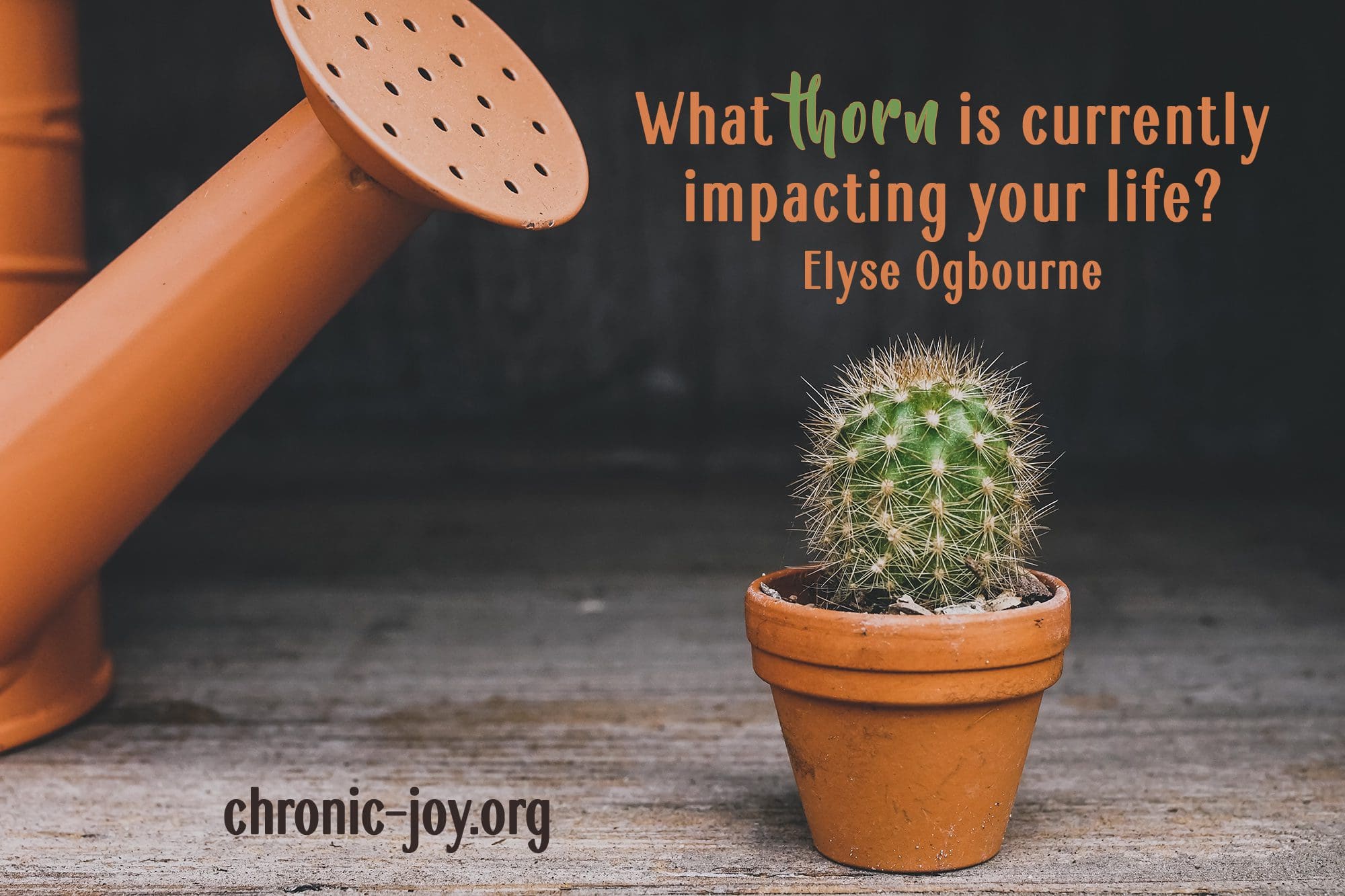 "What thorn is currently impacting your life?" Elyse Ogbourne