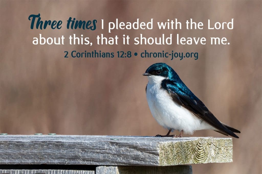 "Three times I pleaded with the Lord about this, that it should leave me." 2 Corinthians 12:8