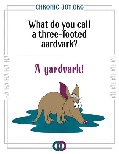 What do you call a three-footed aardvark? A yardvark!