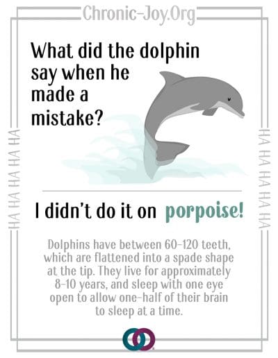What did the dolphin say when he made a mistake? I didn't do it on porpoise!