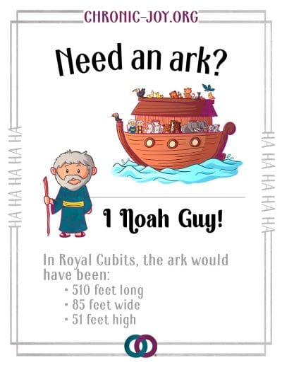 Need an ark? I Noah guy!