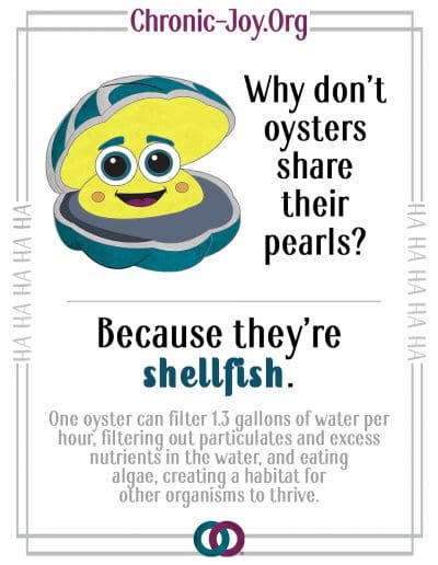 Why don't oysters share their pearls? Because they're shellfish!