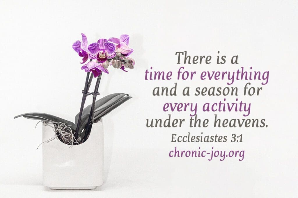 "There is a time for everything and a season for every activity under the heavens." Ecclesiastes 3:1
