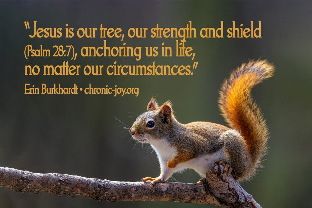 “Jesus is our tree, our strength and shield (Psalm 28:7), anchoring us in life, no matter our circumstances.” Erin Burkhardt