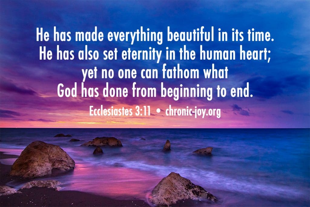 "He has made everything beautiful in its time. He has also set eternity in the human heart; yet no one can fathom what God has done from beginning to end." Ecclesiastes 3:11