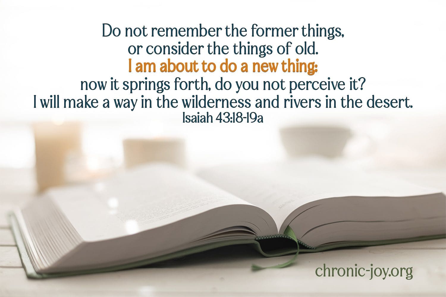 "Do not remember the former things, or consider the things of old. I am about to do a new thing: now it springs forth, do you not perceive it? I will make a way in the wilderness, and rivers in the desert." Isaiah 43:18-19