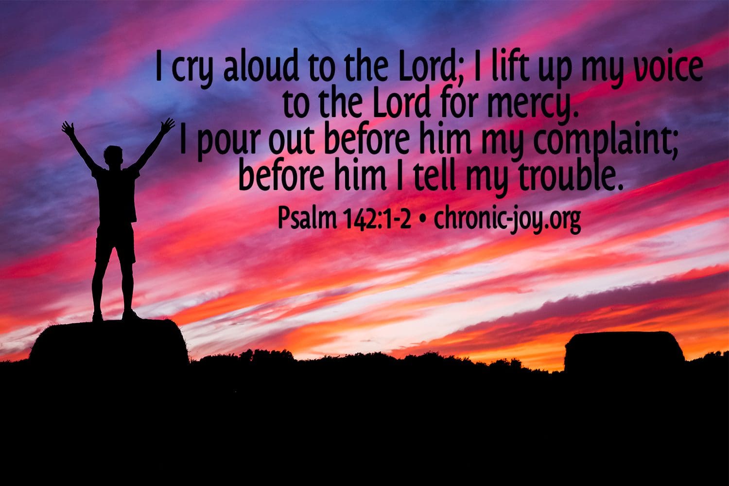 "I cry aloud to the Lord; I lift up my voice to the Lord for mercy. I pour out before him my complaint; before him I tell my trouble." Psalm 142:1-2