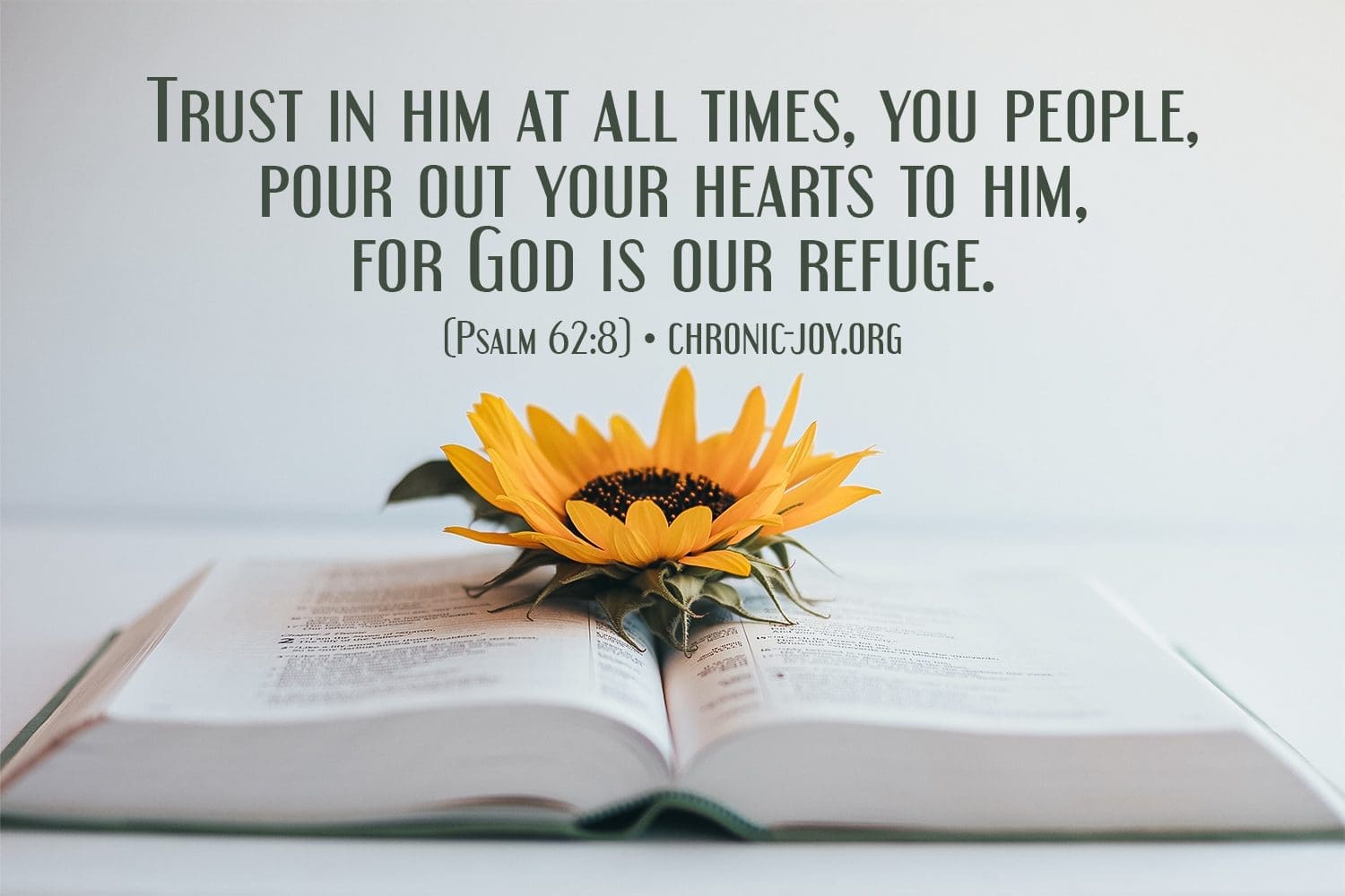 "Trust in him at all times, you people, pour out your hearts to him, for God is our refuge." (Psalm 62:8)