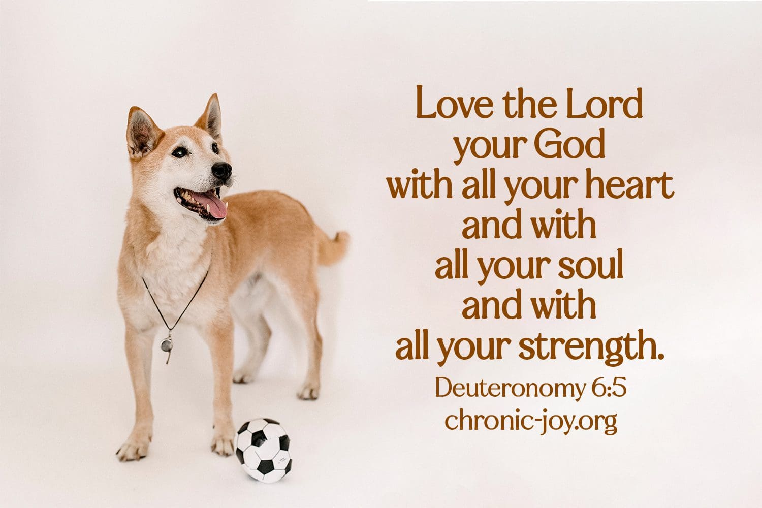 "Love the Lord your God with all your heart and with all your soul and with all your strength." (Deuteronomy 6:5)